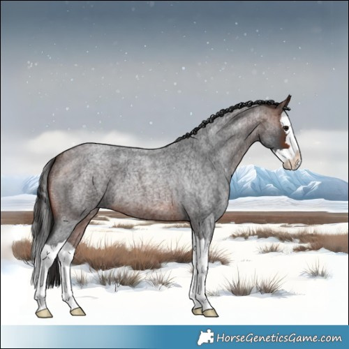 Horse Color:Brown Roan Splash 