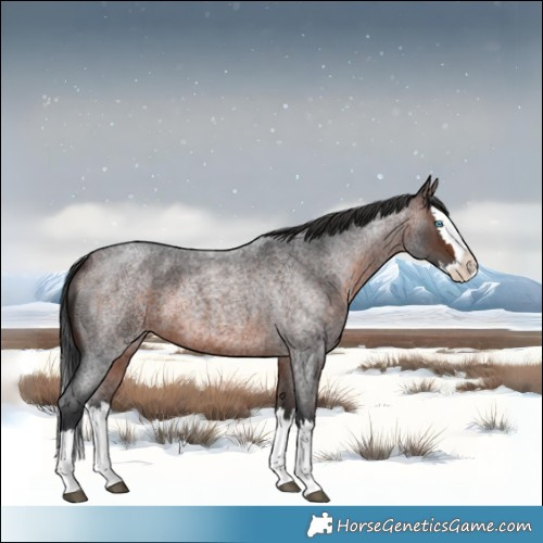 Horse Color:Brown Roan Splash 