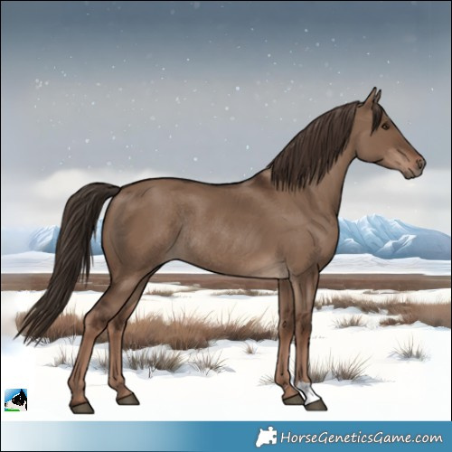 Horse Color:Liver Red Dun Rabicano 