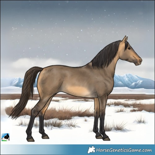 Horse Color:Buckskin Dun Rabicano 