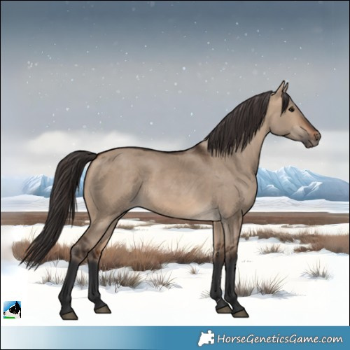 Horse Color:Bay Dun Rabicano 