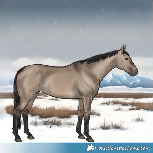 Horse Color:Brown Dun Rabicano 