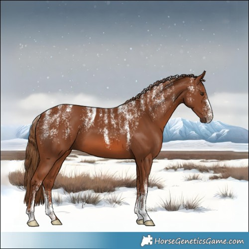 Horse Color:Powder White Chestnut 