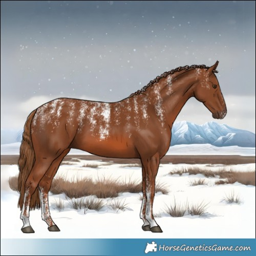 Horse Color:Powder White Chestnut 