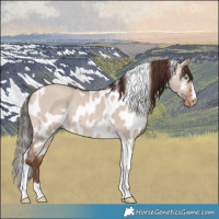 Horse Color:Sable Champagne Dun Tobiano Skewed LP Spotted