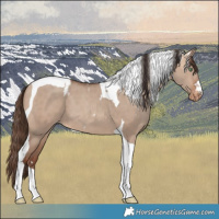 Horse Color:Sable Champagne Dun Tobiano Skewed LP Spotted