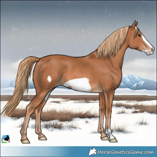 Horse Color:Chestnut Frame 