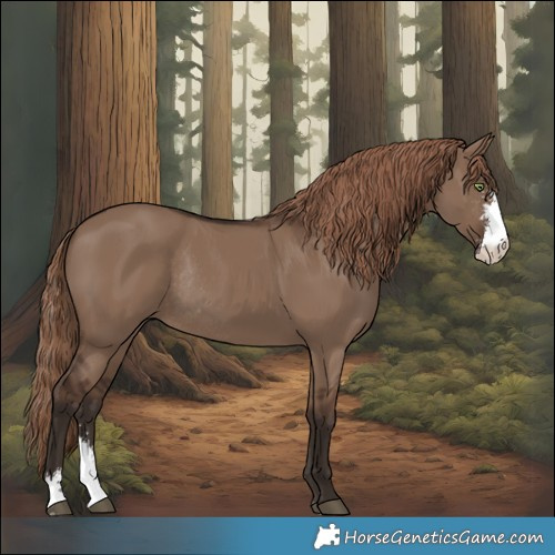 Horse Color:Liver Red Dun Sabino Rabicano