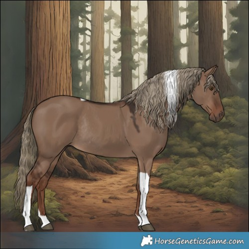 Horse Color:Liver Red Dun Tobiano Rabicano 