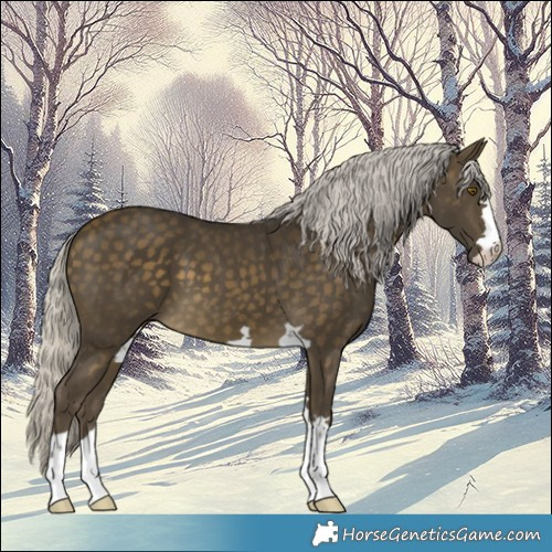Horse Color:Silver Buckskin 