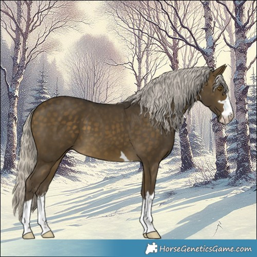 Horse Color:Silver Buckskin 