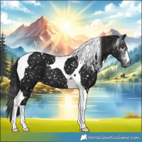 Horse Color:Gray Smoky Black Tobiano Snowflake Varnish