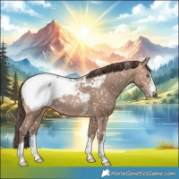 Horse Color:Amber Champagne Near Fewspot