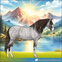 Horse Color:Liver Red Roan Snowflake Varnish