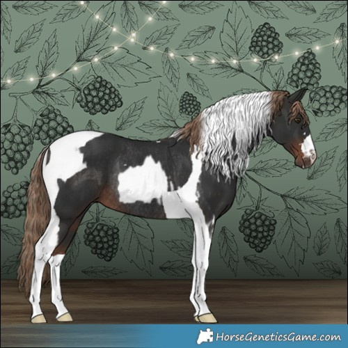 Horse Color:Liver Chestnut Tobiano Rabicano  and Liver Chestnut Tobiano Rabicano 