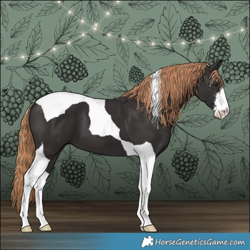 Horse Color:White Spotted Liver Chestnut Tobiano 