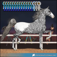 Horse Color:Smoky Black Snowflake Varnish