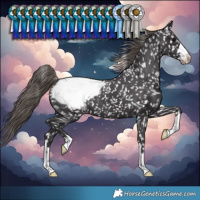 Horse Color:Smoky Black Snowflake Varnish
