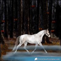 Horse Color:White Spotted Liver Red Dun Tobiano Varnish Rabicano