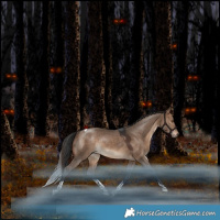 Horse Color:Bay Dun Tobiano Rabicano