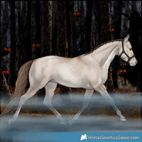 Horse Color:Grullo Pearl Tobiano Rabicano