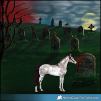 Horse Color:Platinum White Spotted Chocolate Bay Dun Tobiano Rabicano 