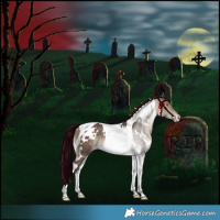 Horse Color:White Spotted Bay Dun Tobiano Varnish Rabicano