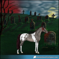 Horse Color:Grullo Tobiano Appaloosa Rabicano 