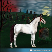 Horse Color:Grullo Pearl Tobiano Appaloosa Rabicano 