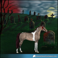 Horse Color:Brown Dun Tobiano Rabicano 