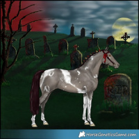 Horse Color:White Spotted Grullo Tobiano Appaloosa Rabicano 
