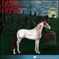 Horse Color:Liver Red Dun Tobiano Snowcap Rabicano