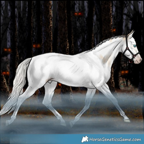 Horse Color:Gray Silver Classic Cream Champagne Snowdrop Dun Splash Tobiano Frame Appaloosa Rabicano