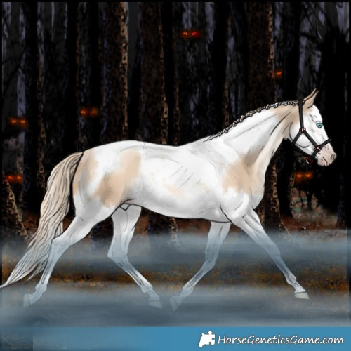 Horse Color:Gray Gold Cream Champagne Snowdrop Dun Splash Tobiano Rabicano 