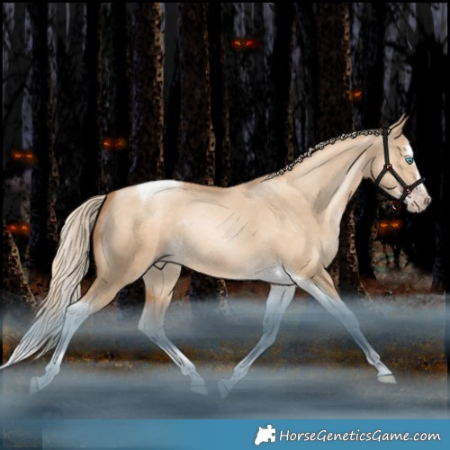 Horse Color:Gray Gold Cream Champagne Snowdrop Dun Splash Tobiano Rabicano 