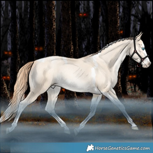 Horse Color:Classic Cream Champagne Snowdrop Splash Tobiano 