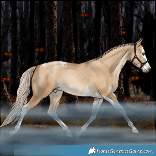 Horse Color:Gray Palomino Snowdrop Dun Splash Tobiano Rabicano