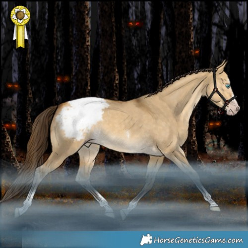 Horse Color:Gray Amber Cream Champagne Dun Mushroom Splash Tobiano Appaloosa