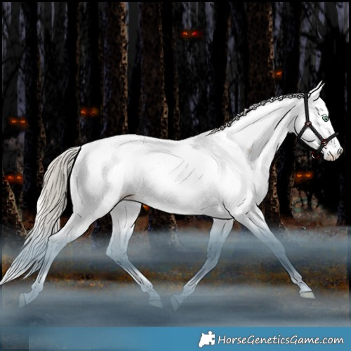 Horse Color:White Spotted Gold Champagne Dun Mushroom Splash Tobiano Appaloosa Rabicano 