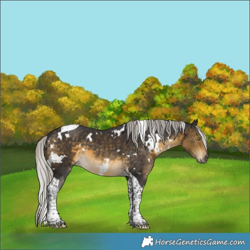 Horse Color:White Spotted Silver Buckskin Tobiano 