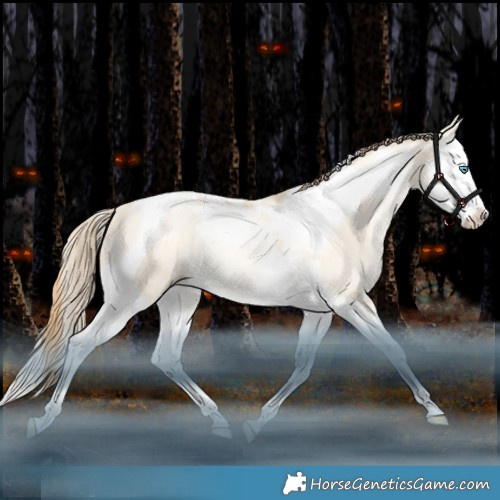 Horse Color:Classic Champagne Snowdrop Dun Splash Tobiano Rabicano 