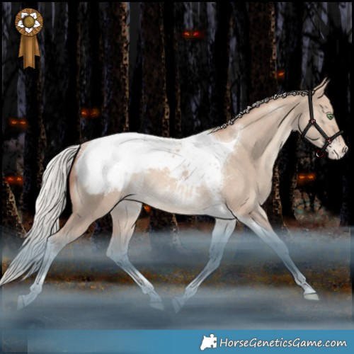 Horse Color:Silver Sable Champagne Dun Tobiano Appaloosa Rabicano 