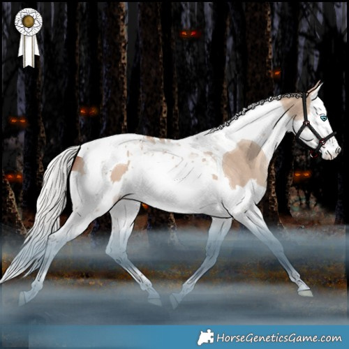 Horse Color:Silver Sable Champagne Dun Splash Tobiano Rabicano 