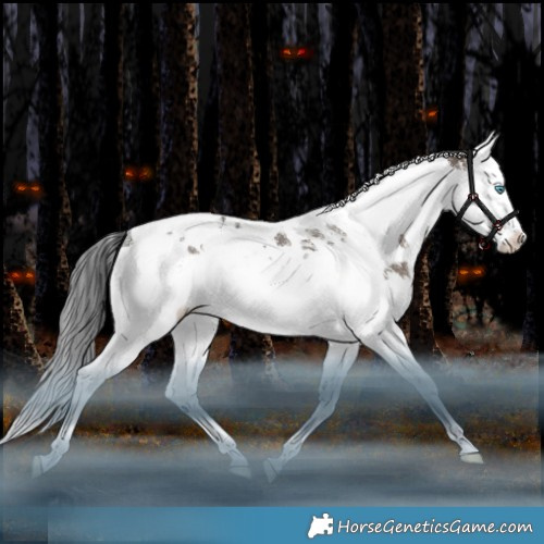 Horse Color:Brown Dun Splash Tobiano Rabicano 