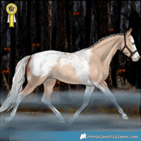 Horse Color:Silver Sable Champagne Dun Splash Tobiano Snowcap Rabicano