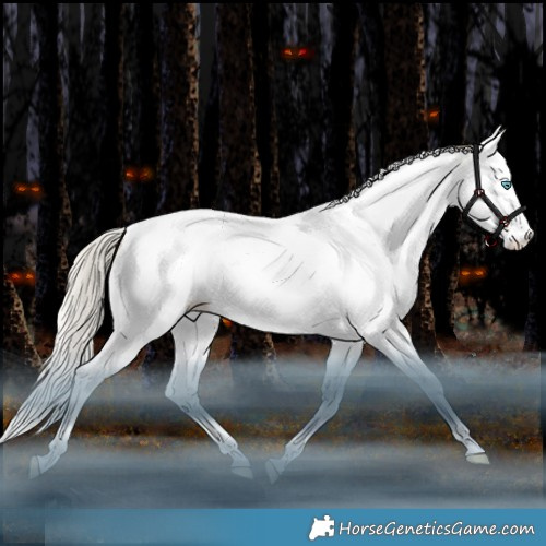 Horse Color:Silver Brown Snowdrop Dun Splash Tobiano Appaloosa Rabicano
