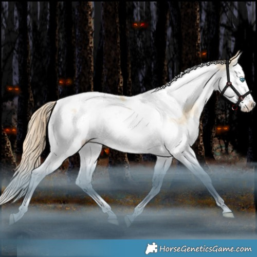 Horse Color:Sable Champagne Snowdrop Splash Tobiano Appaloosa Rabicano 