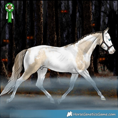 Horse Color:White Spotted Bay Snowdrop Pearl Dun Splash Tobiano Appaloosa Rabicano 