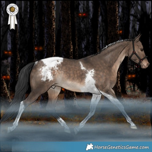 Horse Color:Brown Dun Tobiano Appaloosa Rabicano 