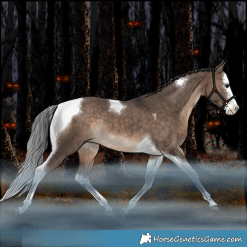 Horse Color:Bay Dun Splash Tobiano Rabicano 